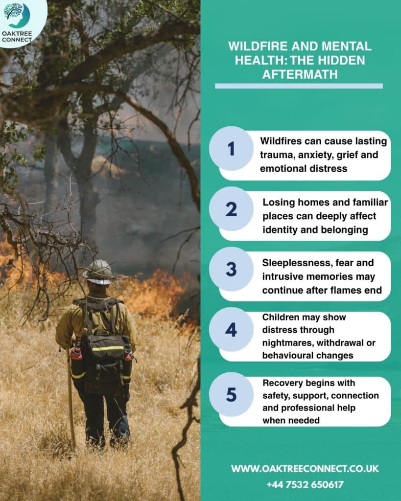 Wildfire and Mental Health: The Hidden Aftermath
